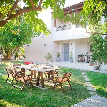 Villa Jasmin Koxare Экстерьер фото